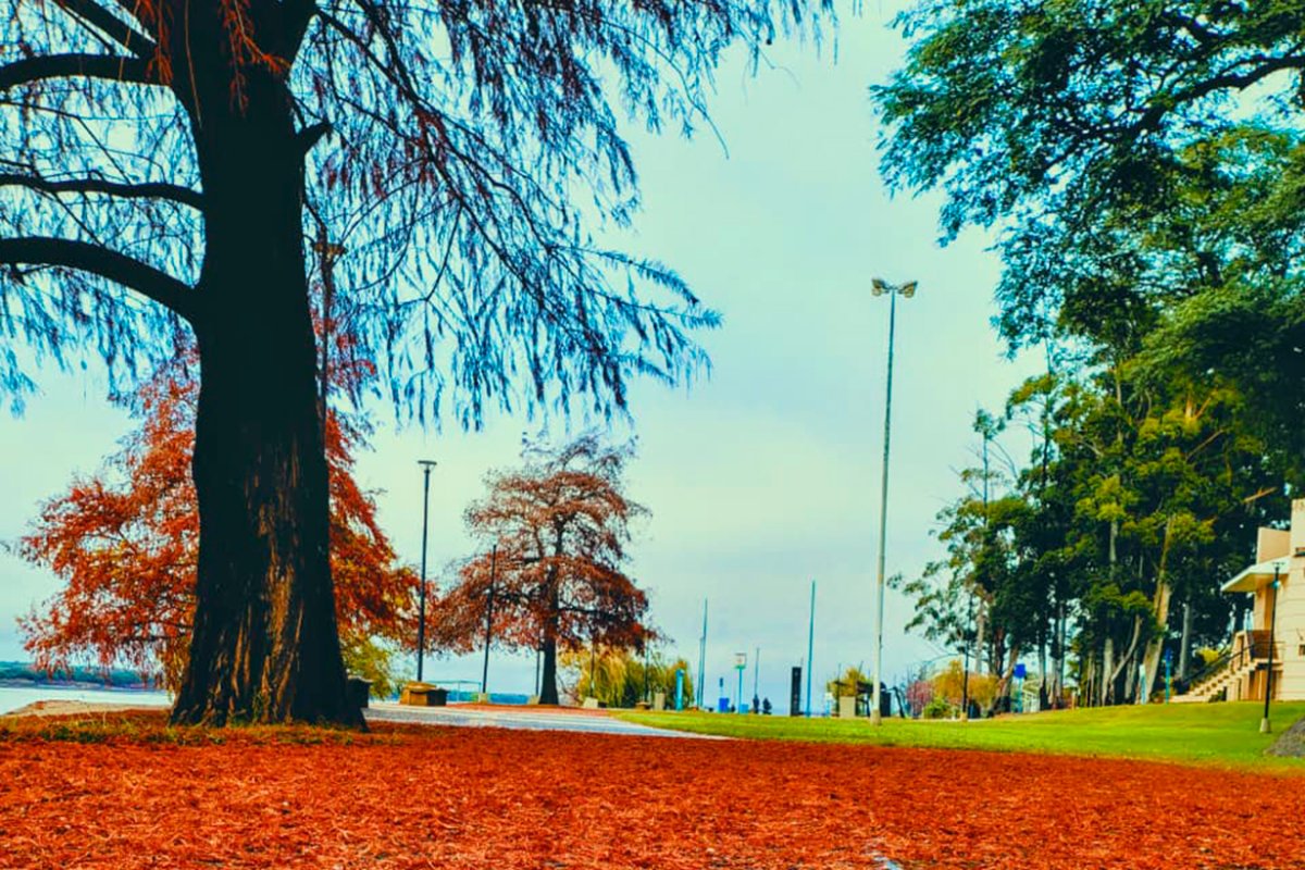 Invierno en costanera de Concordia (M. Gonz&aacute;lez).