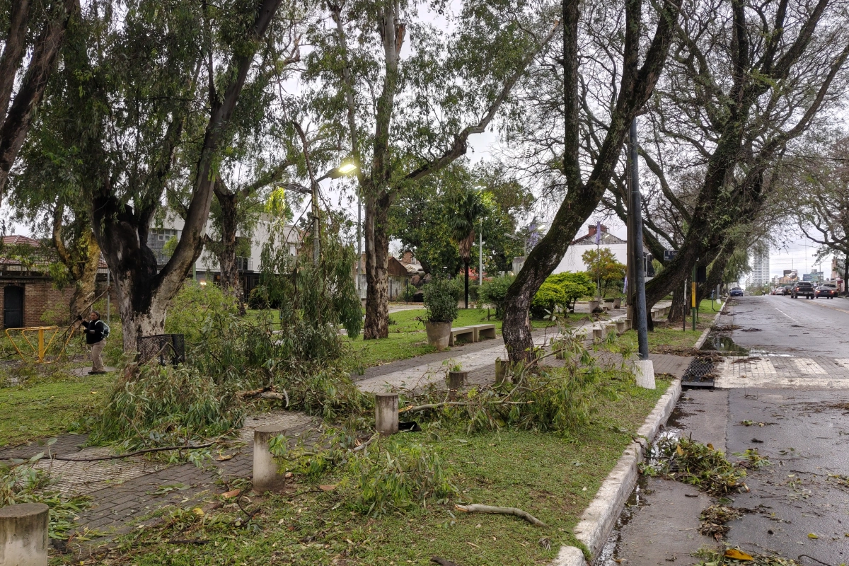 As&iacute; amaneci&oacute; este jueves la plaza de la Sociedad Rural.